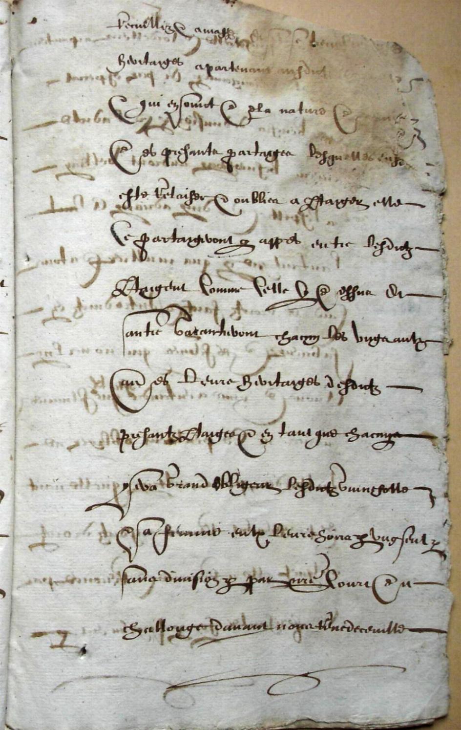 Ceville-Mathurin-partages_1603 (31).JPG